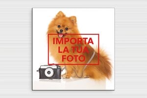 Cartelli attenti al cane - PVC - undefined - custom - glue - it-cartello-cane-009-3-1747279689269