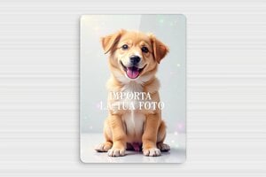 Cartelli attenti al cane - Plexiglass - undefined - custom - glue - it-cartello-cane-010-3-1747279690370