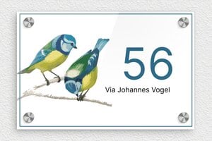 Targhe per animali domestici - Plexiglass - undefined - custom - screws-caps - it-cartello-casa-animale-013-1-1747213407510