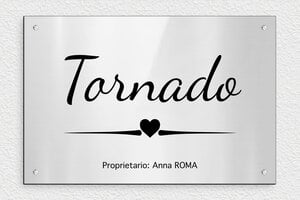 Targhe personalizzate per cavalli - PVC - undefined - gris-brillant-noir - screws - it-nome-cavallo-data-di-nascita-cartello-002-5-1747210174850