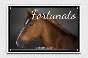 Targhe per box cavalli - PVC - undefined - custom - screws - it-nome-cavallo-stalla-personalizzabile-001-3-1747210258204