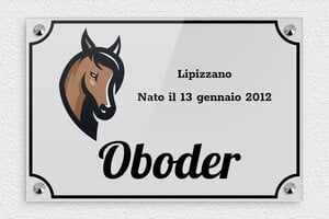 Targhe personalizzate per cavalli - Plexiglass - undefined - custom - screws-caps - it-targa-razza-cavallo-001-3-1747209982914