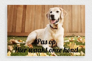 Hier waak ik bord - Bord 'Pas op voor de hond' - custom - glue - nl-nl-hond-bord-008-3-1756806322925 Hier waak ik bord - Bord 'Pas op voor de hond' - custom - glue - nl-nl-hond-bord-008-3-1756806322925