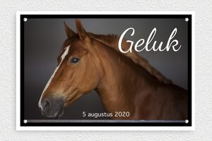 Stalbordjes paard - Geëxpandeerd PVC - custom - screws - nl-nl-paard-naam-stal-aanpasbaar-001-3-1756805511760