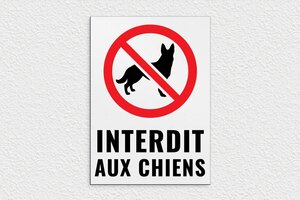 Panneau Interdit aux Chiens - PVC - 250 x 350 mm - gris-noir - glue - panneau-interdit-chien-003-3