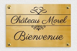 Plaque de porte laiton - pb-chateau-005-4 - 300 x 200 mm - poli - screws-caps - pb-chateau-005-4