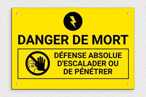 Signalisation danger électrique - Panneau danger de mort - 300 x 200 mm - PVC - jaune-noir - screws - pl-videosurveillance-002-1