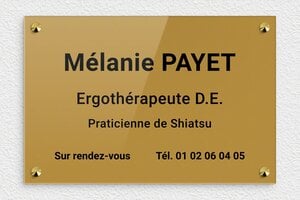 Plaque Praticien - plaquepro-job-ergotherapeute-001-0 - 300 x 200 mm - or-fonce-noir - screws-caps - plaquepro-job-ergotherapeute-001-0