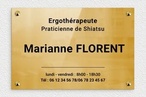 Plaque Praticien - plaquepro-job-ergotherapeute-002-4 - 300 x 200 mm - poli - screws-caps - plaquepro-job-ergotherapeute-002-4