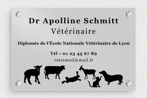 Plaque Vétérinaire - plaquepro-job-veterinaire-001-4 - 150 x 100 mm - anodise - screws - plaquepro-job-veterinaire-001-4