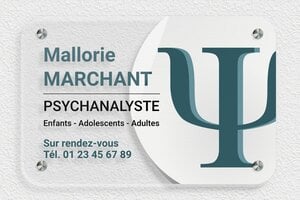Plaque Psychanalyste - ppro-job-psychanalyste-quadri-001-3 - 300 x 200 mm - transparent - screws-spacer - ppro-job-psychanalyste-quadri-001-3