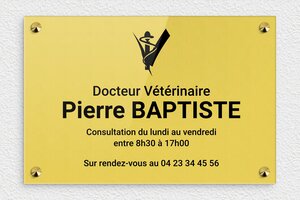 Plaque Vétérinaire - ppro-job-veterinaire-010-1 - 300 x 200 mm - or-clair-noir - screws-caps - ppro-job-veterinaire-010-1