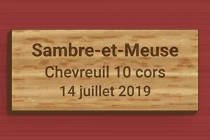 Plaque en bois pour trophée de chasse - Bois - 80 x 35 mm - chene - glue - secteur-association-trophee-chasse-bois-002-3