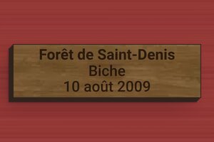 Plaque en bois pour trophée de chasse - Bois - 70 x 20 mm - noyer - glue - secteur-association-trophee-chasse-bois-004-3