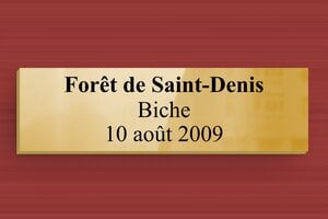 Plaque laiton pour trophée chasse - Laiton - 70 x 20 mm - poli - glue - secteur-association-trophee-chasse-laiton-003-3