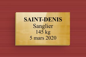 Plaque laiton pour trophée chasse - Laiton - 50 x 30 mm - poli - glue - secteur-association-trophee-chasse-laiton-005-3