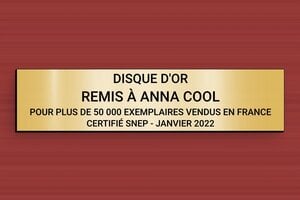 Plaque de musique personnalisée - secteur-musique-disque-d-or-001-3 - 150 x 35 mm - or-brosse-noir - glue - secteur-musique-disque-d-or-001-3