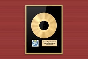 Plaque de musique personnalisée - secteur-musique-disque-d-or-005-3 - 200 x 260 mm - custom - glue - secteur-musique-disque-d-or-005-3