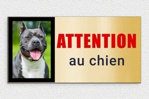 Attention au chien - signparti-panneau-attention-chien-photo-007-3 - 300 x 150 mm - or-brosse-noir - glue - signparti-panneau-attention-chien-photo-007-3