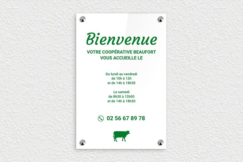 Panneau boutique - Plexiglass - 200 x 300 mm - blanc-vert - screws-caps - pl-magasin-002-1