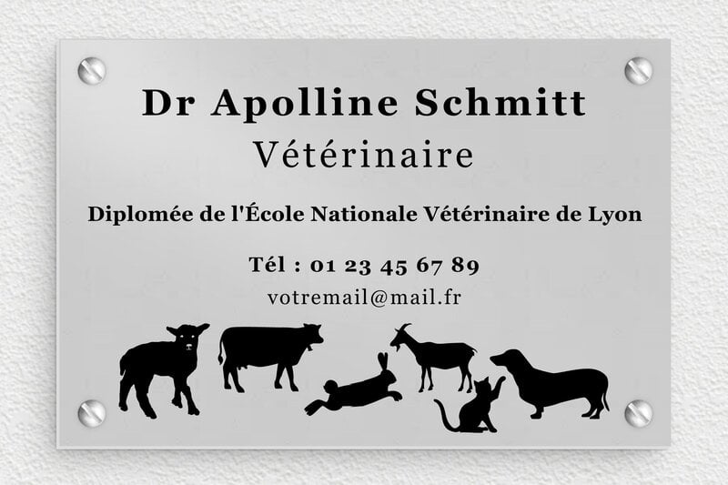 Plaque vétérinaire - Aluminium - 150 x 100 mm - anodise - screws - plaquepro-job-veterinaire-001-4