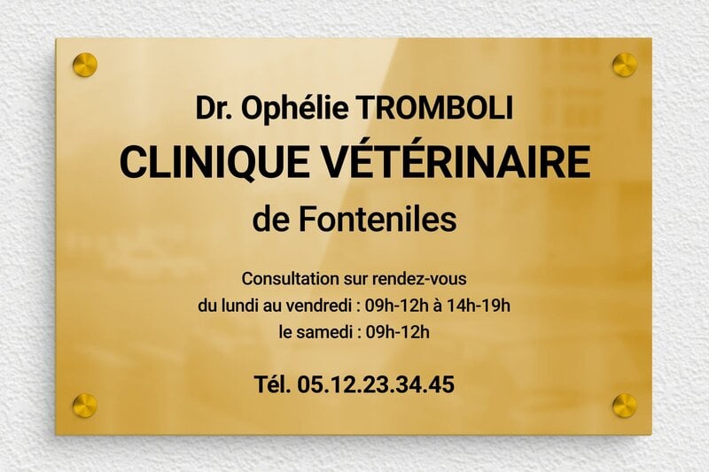 Plaque vétérinaire - Laiton - 300 x 200 mm - poli - screws-spacer - plaquepro-job-veterinaire-003-0