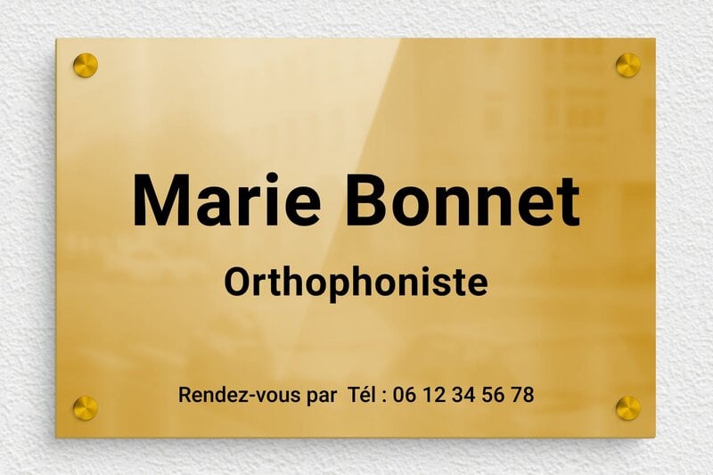 Plaque Orthophoniste - Laiton - 300 x 200 mm - poli - screws-spacer - ppro-orthophoniste-004-4