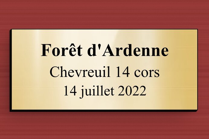 secteur-association-trophee-chasse-001-3-or-brillant-noir