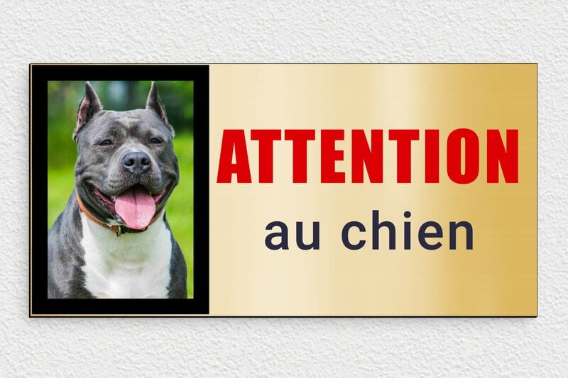 Plaque attention au chien originale - PVC - 300 x 150 mm - or-brosse-noir - glue - signparti-panneau-attention-chien-photo-007-3