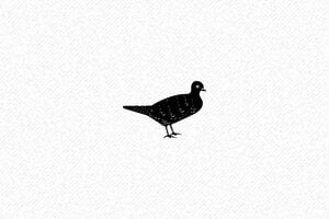 Tampon Animaux - Tampon Pigeon  - 40 x 15 mm - 6 lignes max. - encre black - animal30