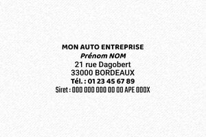 Tampon auto entrepreneur - Trodat Metal 5200 - 41 x 24 mm - 9 lignes max. - encre black - boîtier anneau noir - pro52001