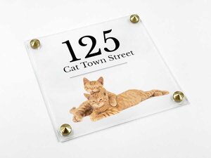 Cat Signs Cat Signs