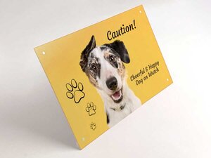 Dog Signs Dog Signs