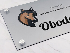 Placas con Nombre para Cuadras