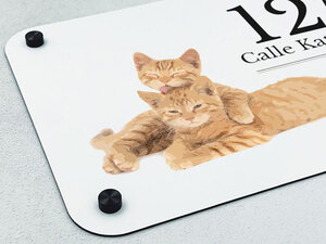 Placas para Gatos