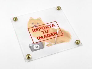 Placas "Cuidado con el Perro"
