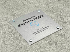 Placas Profesionales de Aluminio