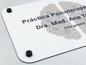 Placas Profesionales de PVC