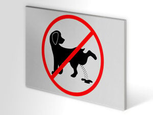 Panneau chien interdit d’uriner humour